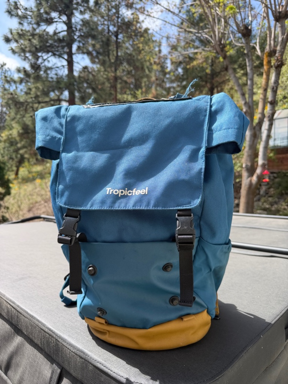 Tropicfeel Teal and Mustard Roll-Top Backpack